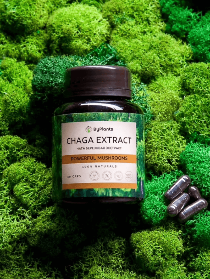 BY PLANTS Chaga Extract Чага березовая экстракт (60 кап.)