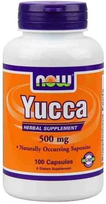 YUCCA 500