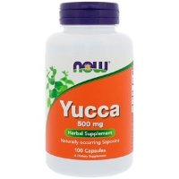 YUCCA 500
