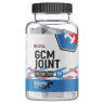 GCM Joint 