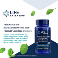 Life Extension LIFE EXTENSION PalmettoGuard Saw Palmetto, Nettle Root and Beta-Sitosterol (60 кап.) 
