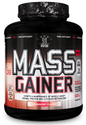 Mass Gainer 