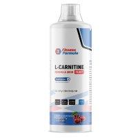 L-Carnitine 3000 Fury